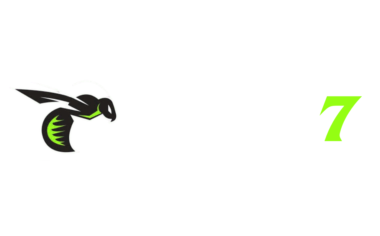 wasp7.co